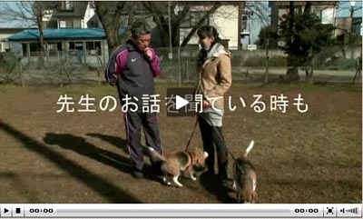 犬しつけ　ドッグトレーナー藤井聡が教える犬のしつけ教室 吠え癖 止めさせる